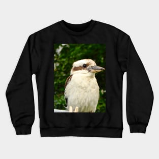 Kookaburra on the Line! Crewneck Sweatshirt